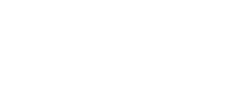 Mint Festival